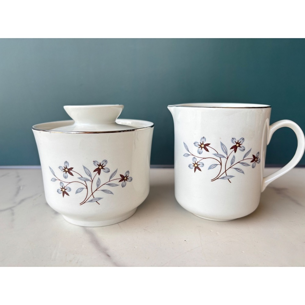 Salem International Ironstone Whimsey Cream and Sugar Set England Floral Silver